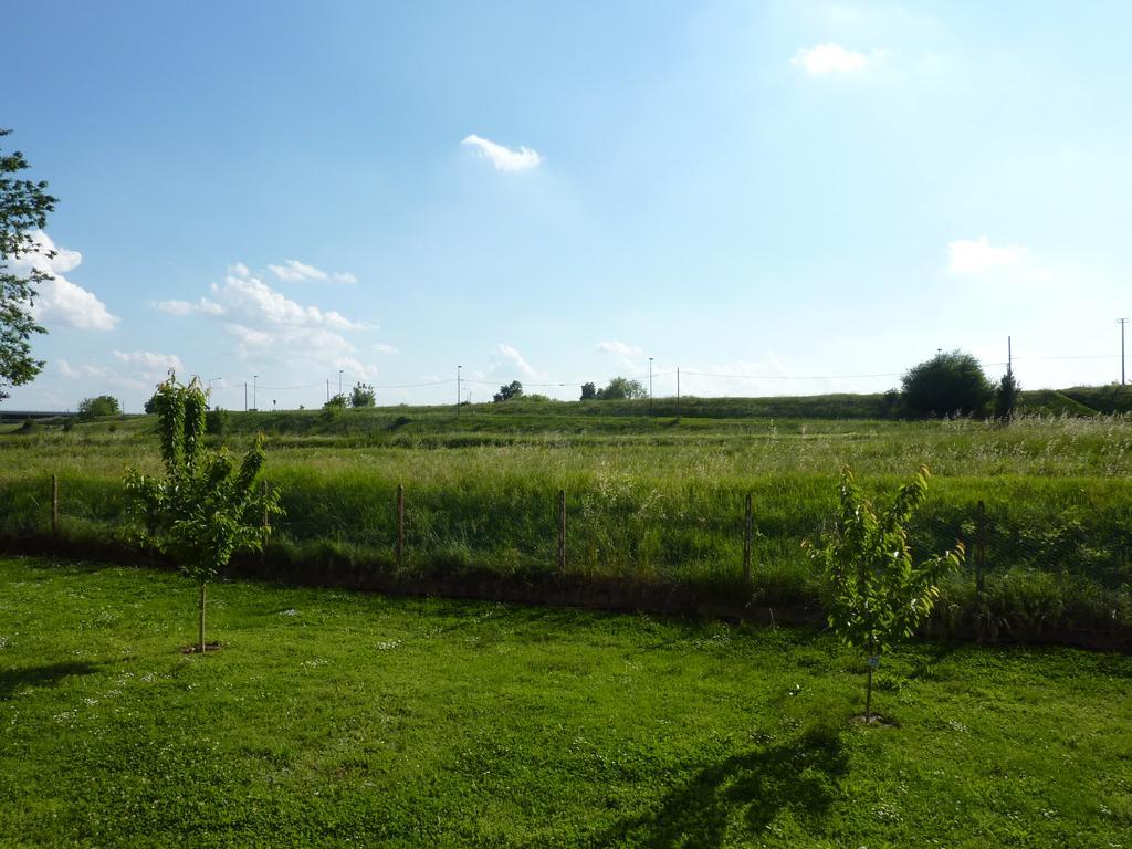 Azienda Agricola Marin Este Eksteriør bilde